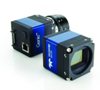 Teledyne DALSA Introduces Genie TS Cameras