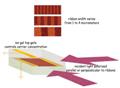 Researchers Develop Prototype in Terahertz Light Range