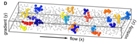 Cornell Scientists Use 3-D Imaging to Explore Microscopic Origin of Non-Newtonian Fluids