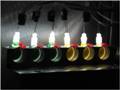 Researchers Use LED Lighting to Study Photosynthesis in Bacteria