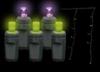 LED Holiday Lighting Introduces its Halloween LED Lighting Product Line for 2011