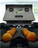 IVIA Scientists Develop Computer Vision-Based Machine to Verify Citrus Fruit Quality