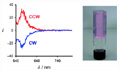 Dye Molecules in Gels Can Emit Circularly Polarized Light