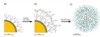Researchers Discover Water-Soluble Light-Emitting Quantum Dots for Studying Biological Processes