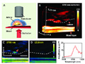 New Imaging Technique for Detecting Atherosclerotic Plaque