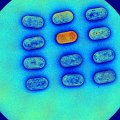 Multispectral Imaging for Quality Control Applications
