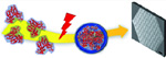 New Approach to Microlenses Made from Protein Gels