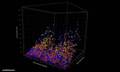 Unveiling ‘ImarisVantage’, Module of Imaris7.4 for Range of Microscopy Image Data