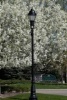 AMERLUX Launches SmartSite LED Street Lighting