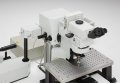 New Photodetector Enhances Sensitivity in Multi-Photon Fluorescence Imaging