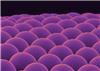 Invitro Synthesis of Microlens Arrays