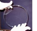 Debris Shields Protect Target-Facing Optics in