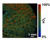 Advanced Imaging Technology for Biomedical Applications