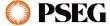 Municipal Streetscapes and Security Deploy PSE+G’s Energy-Efficient LED Fixtures