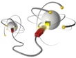 MPQ Physicists Bring New Approach to Quantum Communication