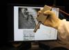 Researchers Develop Affordable, Portable Microscope for Oral Cancer Detection