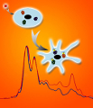 Molecular Spectroscopy Tracks Living Mammalian Cells in Real Time as They Differentiate