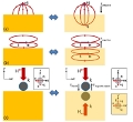 Looking Through the Mirror: Optical Microcavities Show Strong Interaction with Conductive Surface