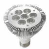 LED Waves Introduces Low-Cost PAR-30 LED Light Bulb