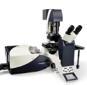 Leica Microsystems Announce TCS SP8 Configurable Confocal Platform