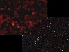 New Space Telescope Enables Astronomers Discover High-Powered X-Rays