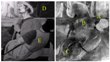 New Imaging Tool Reveals Intricate Details of Renaissance Paintings