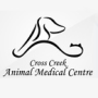 Tampa Clinic Offers Successful Companion Laser Therapy