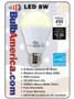 BulbAmerica Introduces Low-Cost LED Light Bulbs