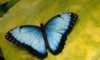 Researchers Break Light Resolution Limit at Nanoscale