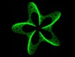 Laser Beams Position Molecules in Hydrogel