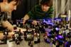 Quantum Optics Study Raises Doubt on Heisenberg’s Uncertainty Principle