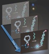 Rice University Researchers Advocate Photoluminescent Probes to Enhance DNA Analysis