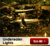 12 Volt Lighting Launches Underwater Outdoor Lighting
