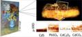 Advanced X-Rays Reveal the Cause of Discoloration in Van Gogh Painting