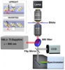 Femtosecond-Pulsed Plasmonic Nanotweezers Help Probe Biological Structures