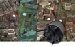 Leica Geosystems Launches RCD30 Oblique Camera for 3D Urban Mapping Applications