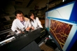 Novel 3D Optical Doppler Imaging Reveals Cocaine-Induced Restricted Cerebral Blood Flow