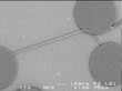 Environmentally Friendly Alternative to Manipulate Light