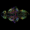 Nikon Awards Top Honor to St. Jude Children's Research Hospital for Excellence in Photomicrography