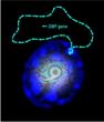 Scientists Watch Biological Clock's Molecular Cogwheels Under the Microscope