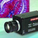 Dage-MTI Introduces HD Scientific Video Camera with Simultaneous Image Capture and Live Viewing