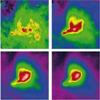 Herschel Space Telescope Helps in Exploring Evolution of Stars