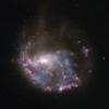 Hubble’s Image Provides New Insights into Galaxy NGC 922