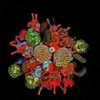 Winners of 2012 Olympus BioScapes Digital Imaging Competition Announced