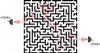 Photons Emitted From Light Sources Follow a Random but Coordinated Path