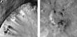 NASA's Dawn Space Probe Camera Reveals Enormous Craters in Protoplanet Vesta’s