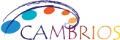 Cambrios and GVision Develop Integrated Touchscreen LCD Displays