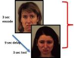 Neuroimaging Biomarker May Help Personalize Treatment for Depression