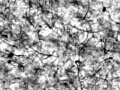 Transparent Electrodes from Carbon Nanotubes