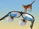 Holography and Optogenetics May Help Provide Bionic Vision